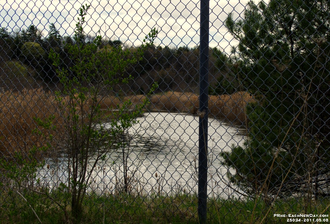 25034CrLe - Photo expedition with Julia in Rouge Valley Park